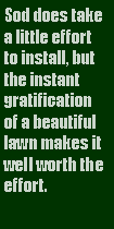 Text Box: Sod does take a little effort to install, but the instant gratification of a beautiful lawn makes it well worth the effort.